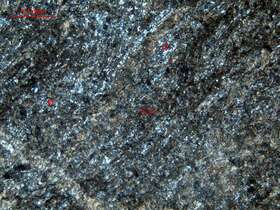 碎裂白云石化、硅化生物碎屑灰岩