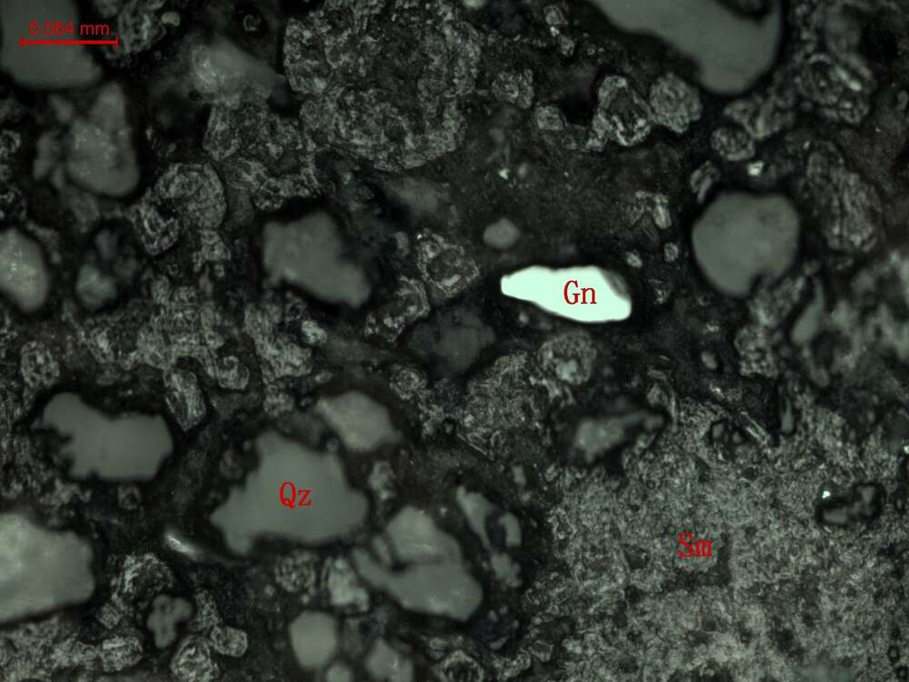 铁泥质细粒岩屑石英砂岩