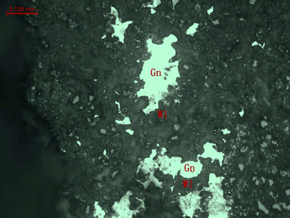 粉砂质泥岩细脉浸染状方铅矿、白铅矿