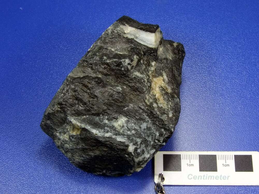 含碳硅质岩（金矿石）