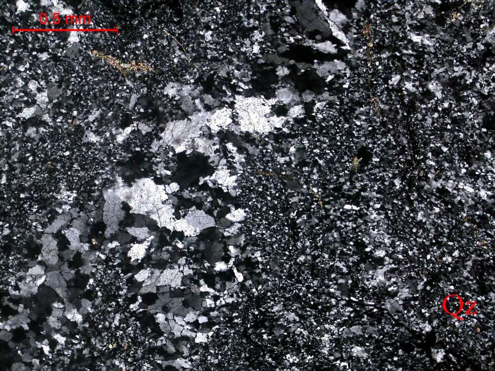 含炭硅质岩