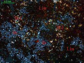 褐铁矿化白云石化硅质岩