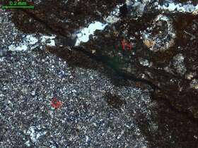 碎裂硅化硅质岩