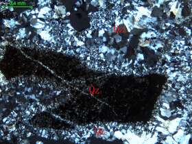 碎裂硅化硅质岩