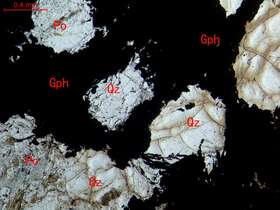 石墨化弱蚀变细粒二长花岗岩