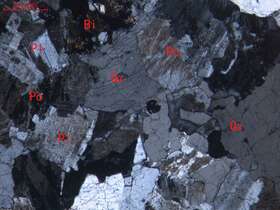 弱蚀变细粒花岗岩