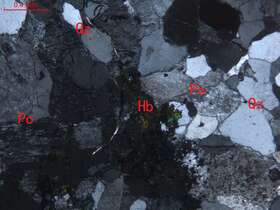 弱蚀变中细粒碱长花岗岩