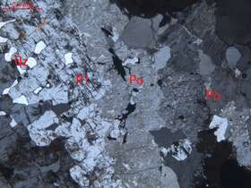 弱蚀变含石墨不等粒花岗岩