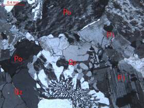 弱蚀变细粒花岗岩