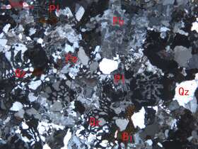 弱蚀变细粒碱长花岗岩