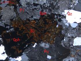 弱蚀变含石墨细粒花岗岩