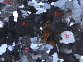 弱蚀变细粒花岗岩