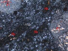 蚀变石英闪长玢岩