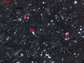 弱片理化蚀变细砂岩