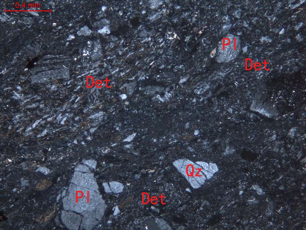 弱片理化蚀变中粗粒岩屑长石砂岩