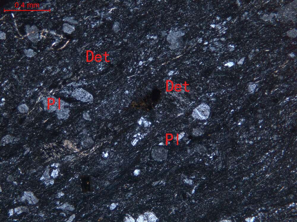 弱片理化蚀变凝灰质长石岩屑砂岩