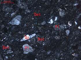 碎裂蚀变凝灰质长石岩屑砂岩