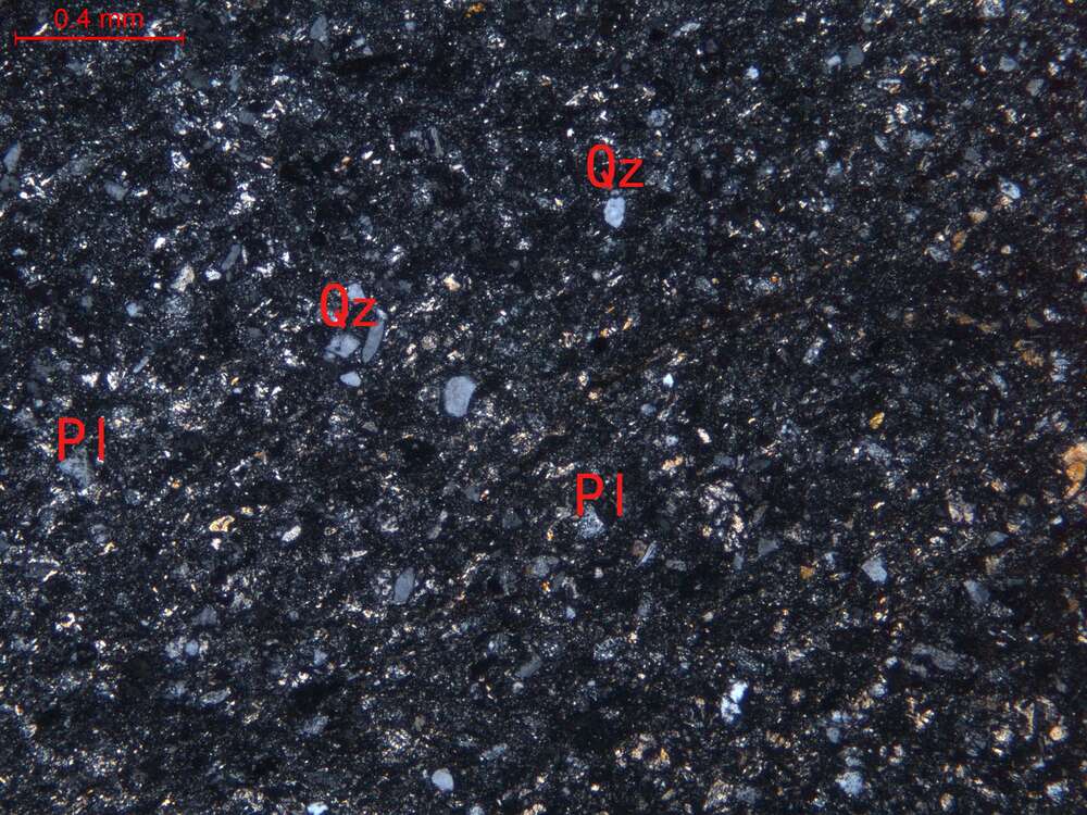 变含细砂粉砂岩