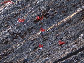 片理化含粉砂泥岩