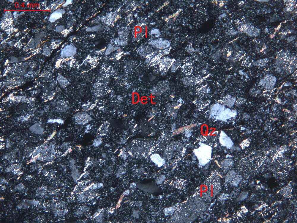 变岩屑长石细砂岩