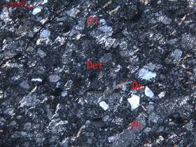 变岩屑长石细砂岩