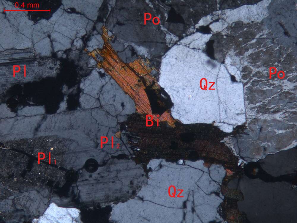 弱蚀变中细粒花岗岩