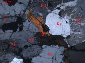 弱蚀变中细粒花岗岩
