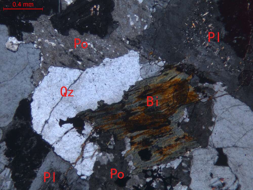 蚀变中细粒花岗闪长岩
