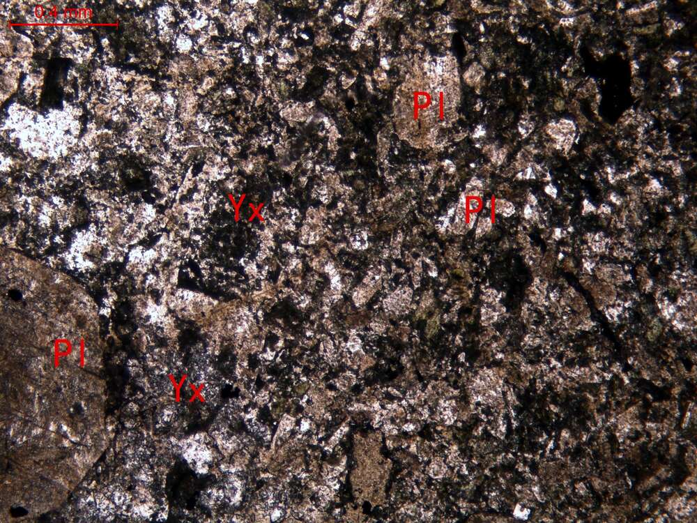 变质凝灰质岩屑长石砂岩