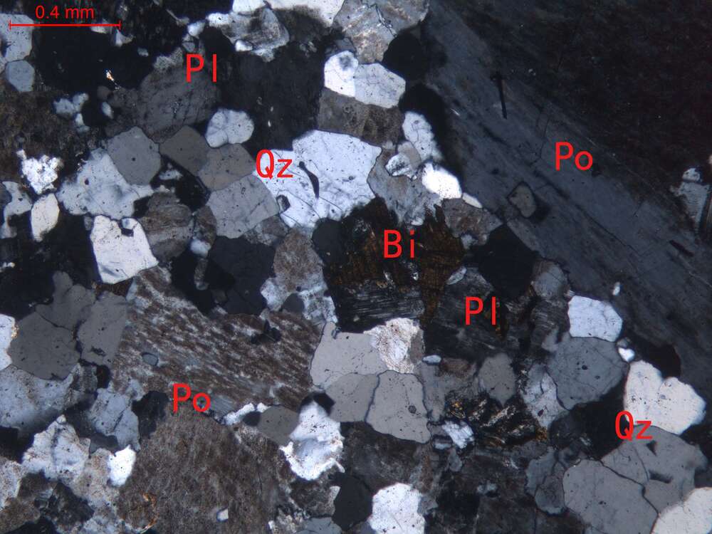 弱蚀变细粒碱长花岗岩