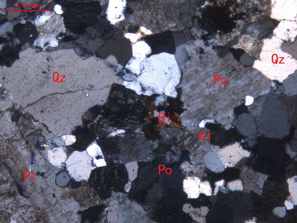 弱蚀变细粒碱长花岗岩
