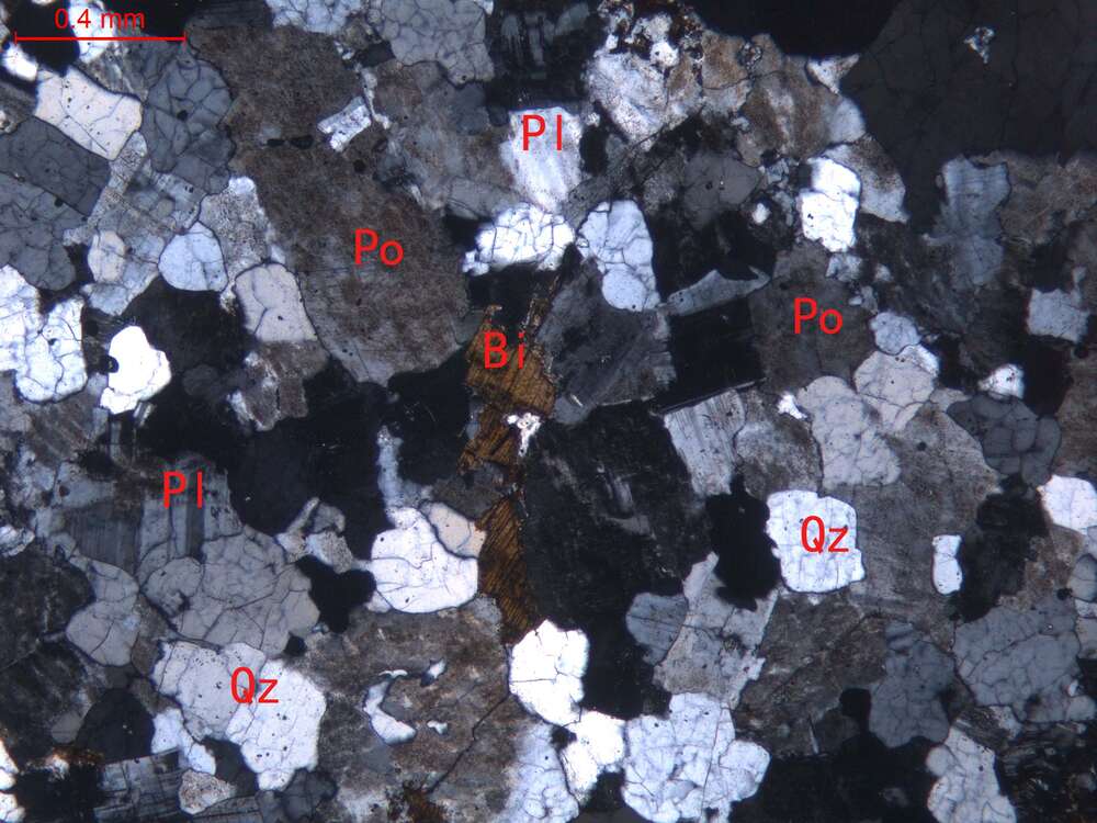 弱蚀变细粒花岗岩