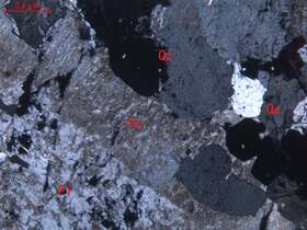 弱蚀变中细粒花岗岩