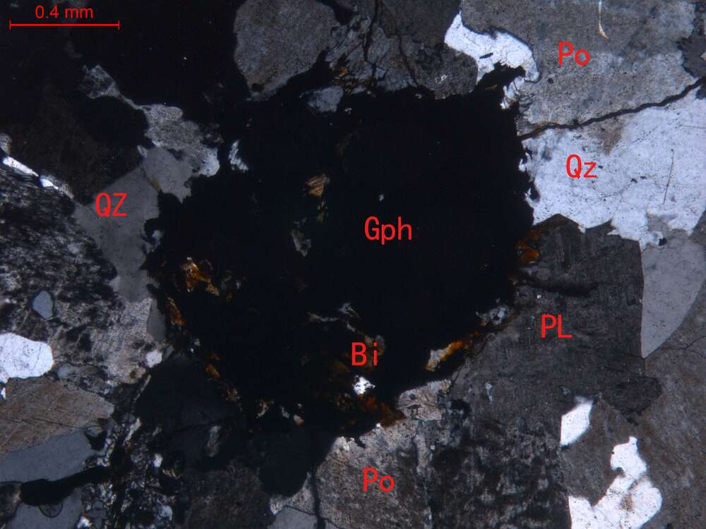 含石墨弱蚀变细粒花岗岩