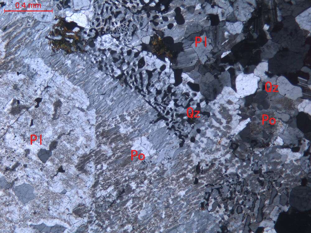 弱蚀变中细粒花岗岩