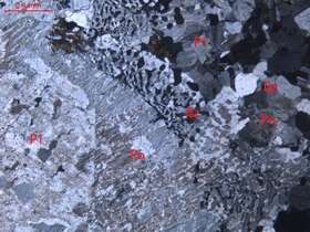 弱蚀变中细粒花岗岩