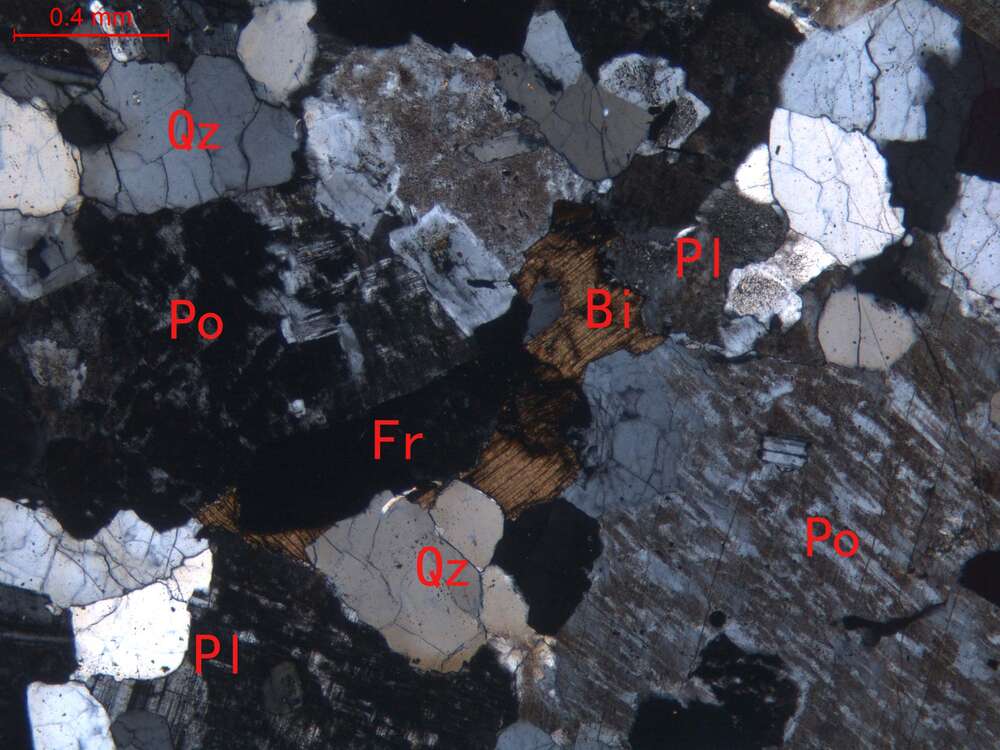 弱蚀变含萤石、黑云母细粒花岗岩
