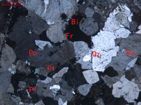 弱蚀变细粒花岗岩