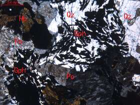 石墨化蚀变细粒含角闪石花岗岩