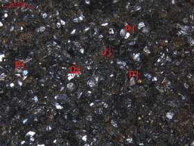 变质含粉砂细砂岩