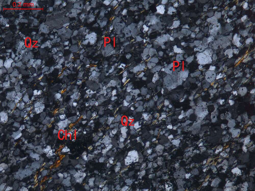 碎裂蚀变绿泥长英质变粒岩