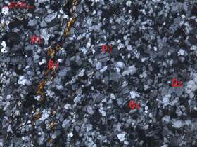 含黑云母长英质变粒岩