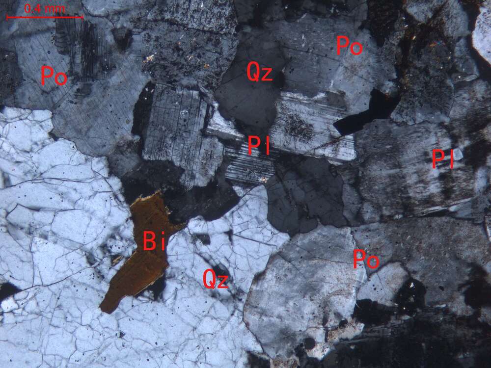蚀变中细粒花岗岩