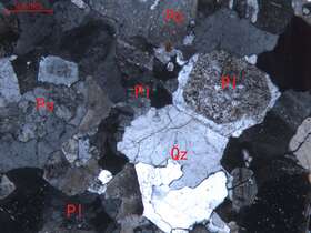 弱蚀变细粒二长花岗岩
