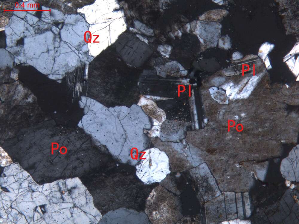 弱蚀变细粒花岗岩