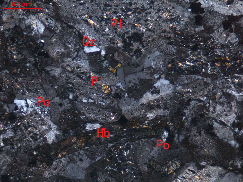 蚀变石英正长闪长玢岩