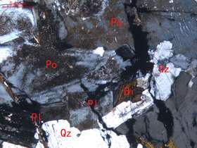 蚀变细粒二长花岗岩