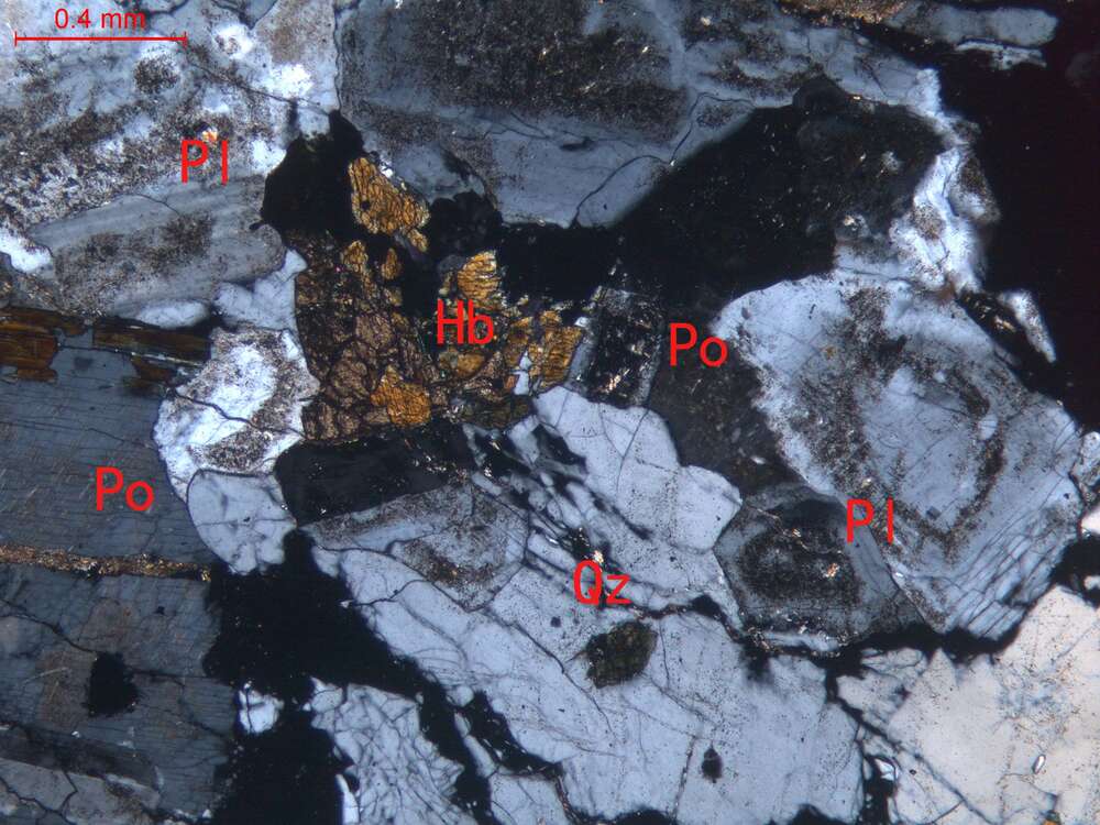 蚀变中细粒二长花岗岩