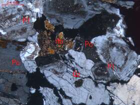 蚀变中细粒二长花岗岩