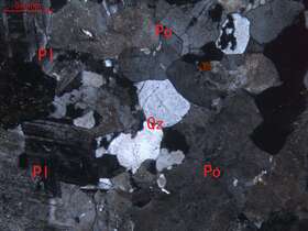 蚀变细粒二长花岗岩